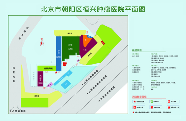 猛操嫩视频在线观看北京市朝阳区桓兴肿瘤医院平面图